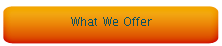 What We Offer