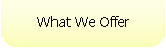 What We Offer